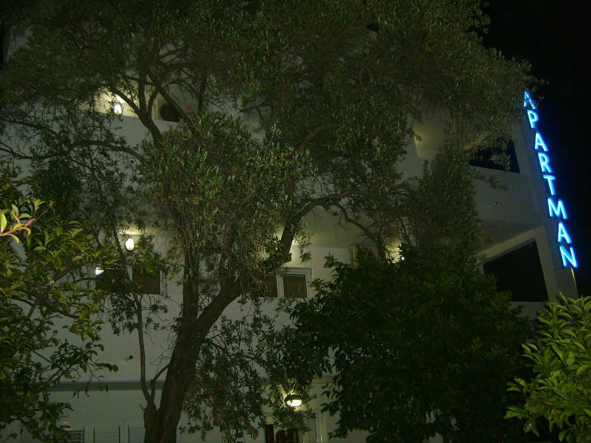 Lyon Apartments Budva Zewnętrze zdjęcie